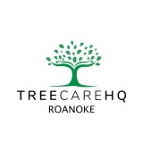 tree service roanoke va