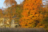 fall glory on Lawndell