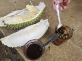 Coffee with durian