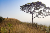 Birding Nimba Hills