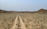 Desert road