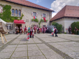 Bled castle festival