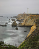  Point Arena Lighthouse