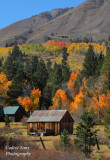 Eastern Sierra Fall Colors