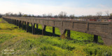  Sutter Buttes Long Bridge 2022