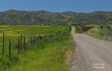 Sutter Buttes 2022
