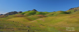  Sutter Buttes 2022