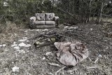 Abandoned_Couch_8EF2205s.jpg