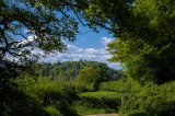 Mid Devon view