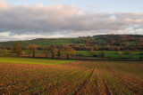 The Culm valley from Hele Payne farm