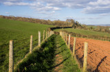 Local walk