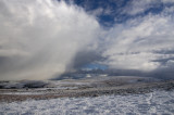 Dartmoor Devon