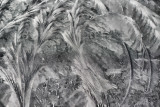 Abstract of ice on a windscreen