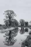 Tiverton canal