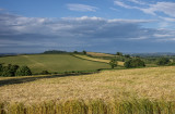 Harvest nearly ready, Bradninch 