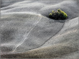 italy_3