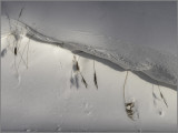 my_gallery