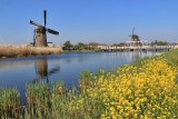  Kinderdijk's Windmills