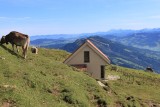 Mount Rigi