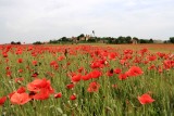 Toscana. Val dŽOrcia