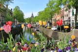 Gouda canals