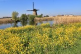 Kinderdijk Windmills