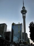 Auckland. Sky Tower