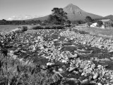 NEW ZEALAND 2010