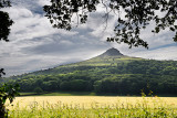 465_Roseberry_Topping.jpg