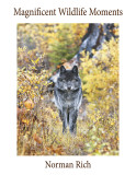 Norman Rich: Wildlife Books