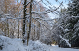 col du Narion