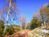 un peu de neige