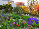 le jardin de rocaille