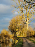 Le canal à Ernolsheim