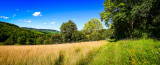 paysages d'Alsace - Alsatian Landscapes.
