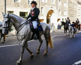 horse parade