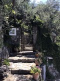 Nocelle - 5693