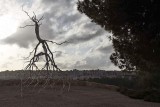 Inversion (2008) - Roxy Paine - 4900