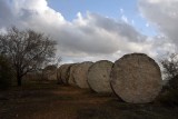 Negev (1987) - Magdalena Abakanowicz - 4930