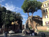 Piazza Trilussa, Trastevere - 0772