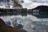 Lake Bled - 2650
