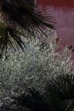 In a private garden, Rome - 0079
