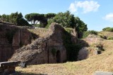 Palatine Hill, seen from Via dei Cerchi, Rome - 1000