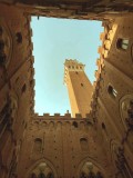 Palazzo Pubblico tower - 3831