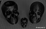 3D Skulls