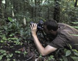 Photographing_goodyera_macrophylla.1.jpg