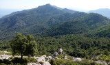 Forrested mountains.jpg
