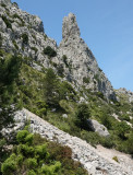 Puig Galatzo area.2.jpg