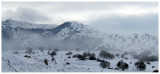 Golan