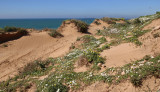 Givat-Olga_19-3-2019 (69).JPG